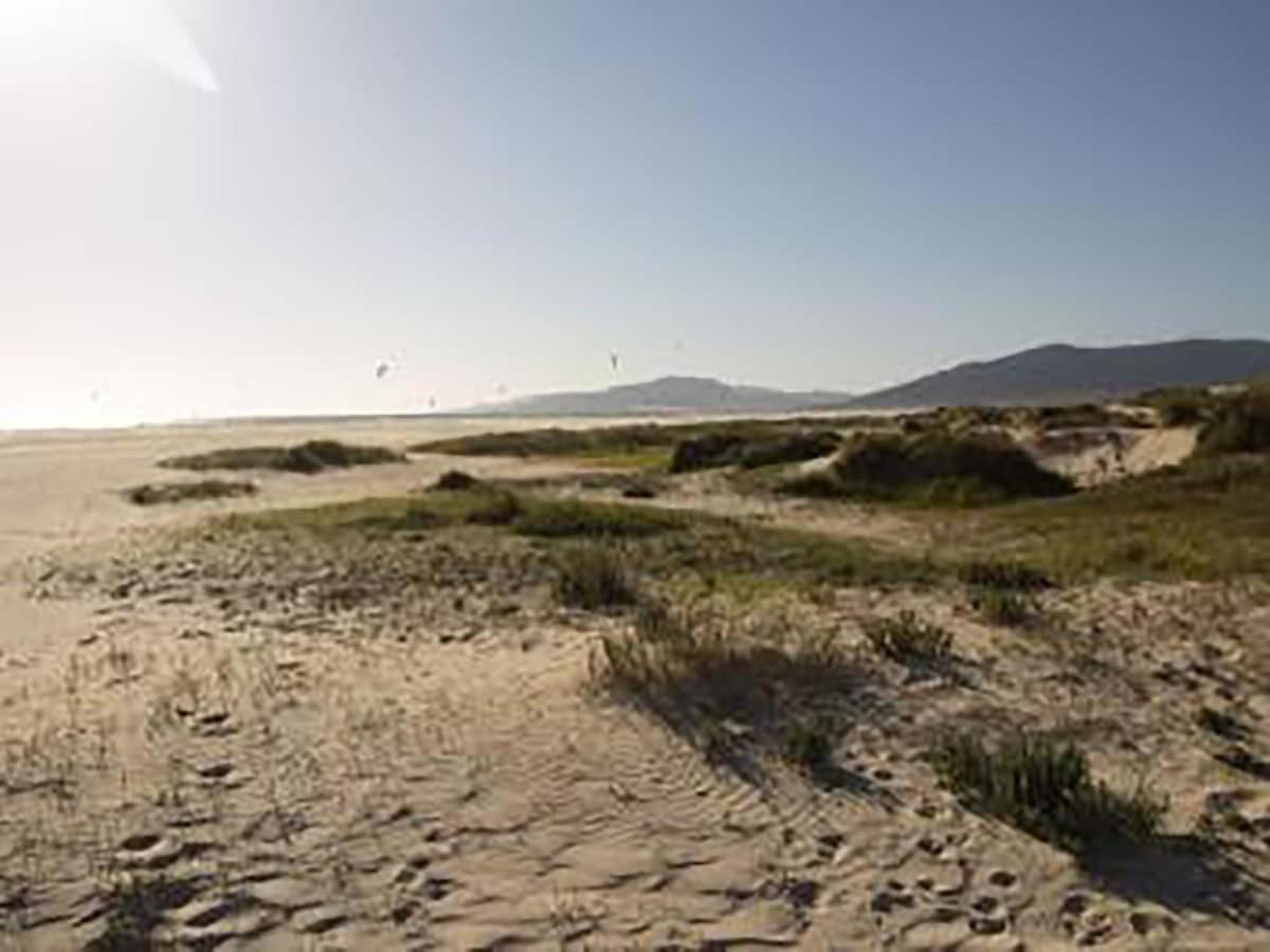 Mirador I Tarifa Leilighet Eksteriør bilde